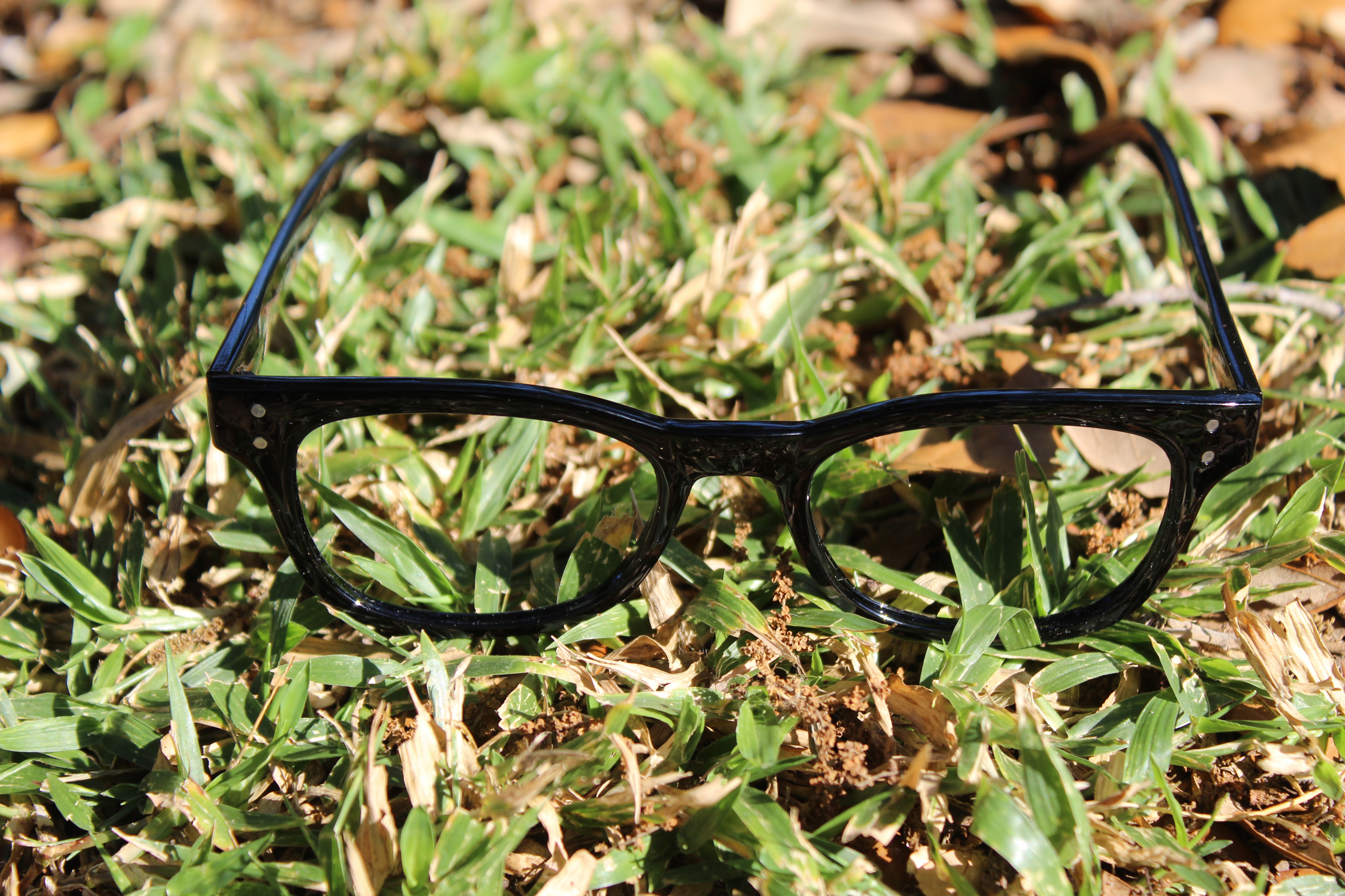 Fashionable eyewear